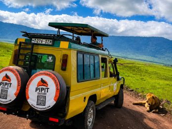 Safari-Vehicles-Pipit--safaris03