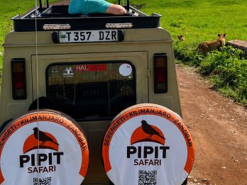 Safari-Vehicles-Pipit--safaris02