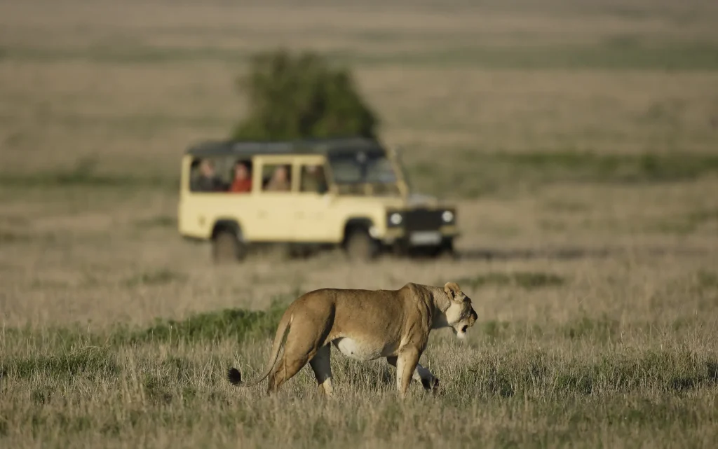 Lake Manyara - Ngorongoro Highland