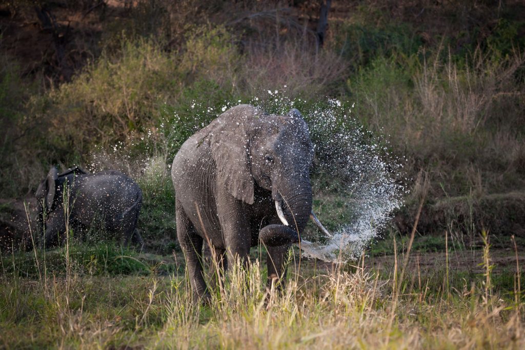Arusha– Tarangire National Park– Karatu