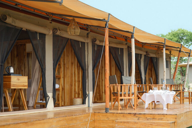 Wildlux Serengeti