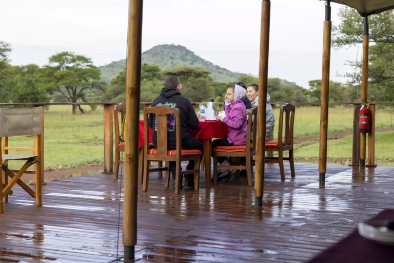 Safari Haven Serengeti