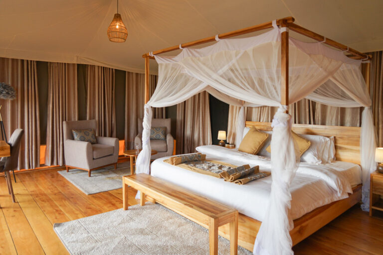 Wildlux Serengeti