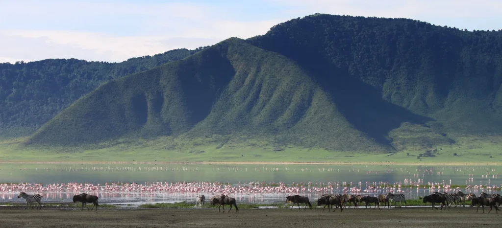 Serengeti – Ngorongoro Conservation Area