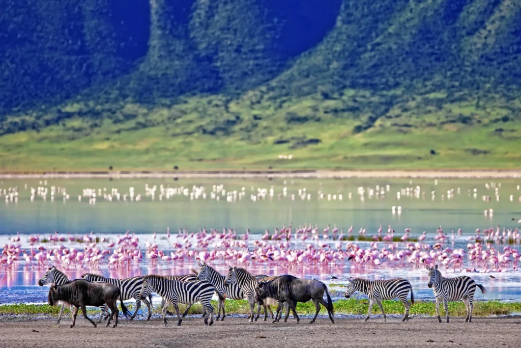 Karatu - Lake Eyasi Cultural Experience