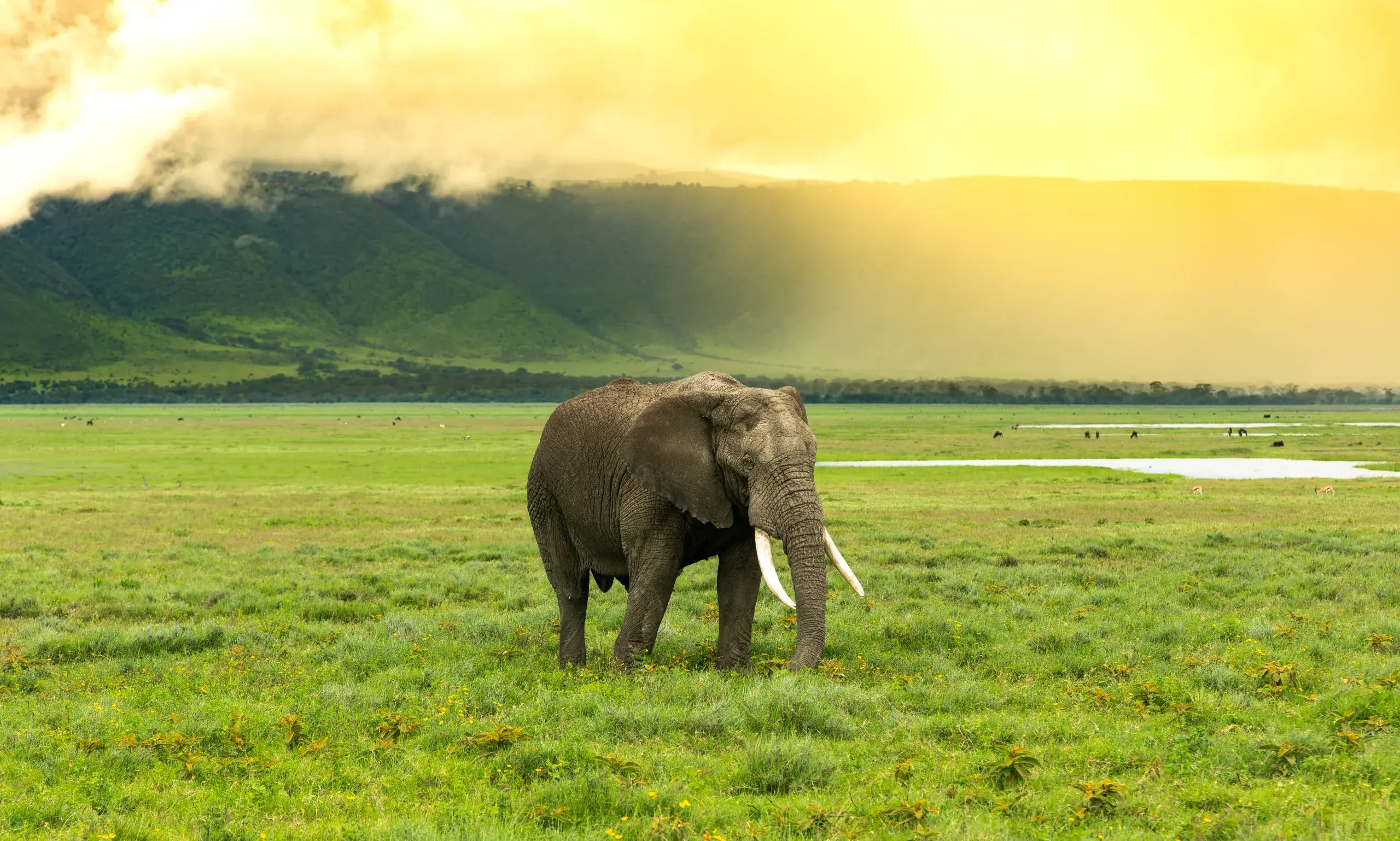 Explore Uganda