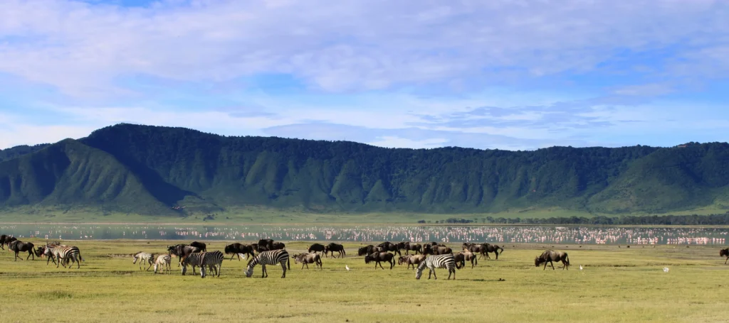 Serengeti National Park - Ngorongoro Highlands