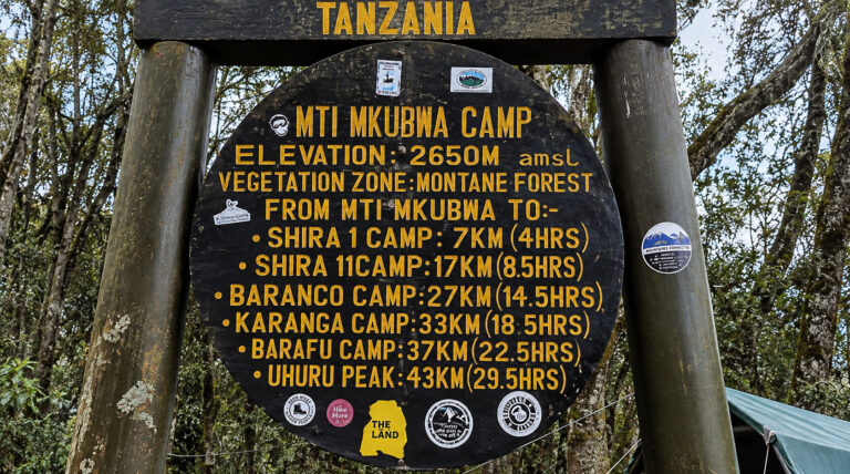Mti Mkubwa Camp – Camping