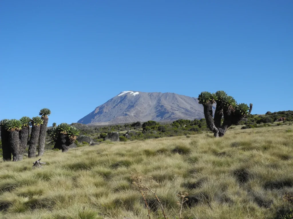 Mandara Hut to Horombo Hut