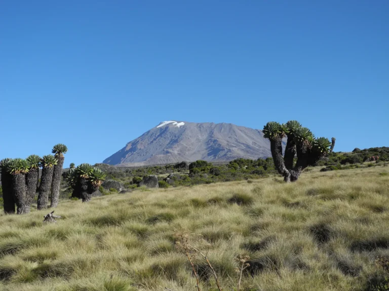 Horombo Hut