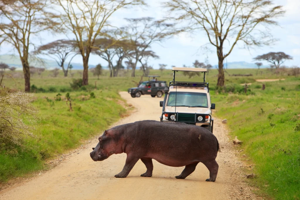 Karatu - Lake Manyara National Park